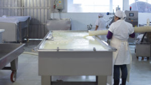 Productos Remo - Quesos Tradicionales Italianos