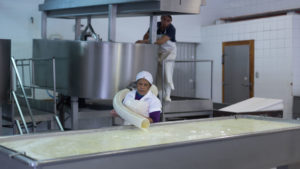Productos Remo - Quesos Tradicionales Italianos