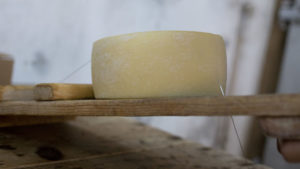 Productos Remo | Quesos Tradicionales Italianos