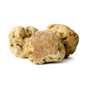 trufa -tartufo- productos remo